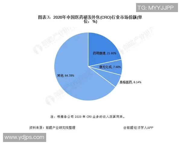 数据分析WE的实力表现与行业竞争力的深度探讨与展望