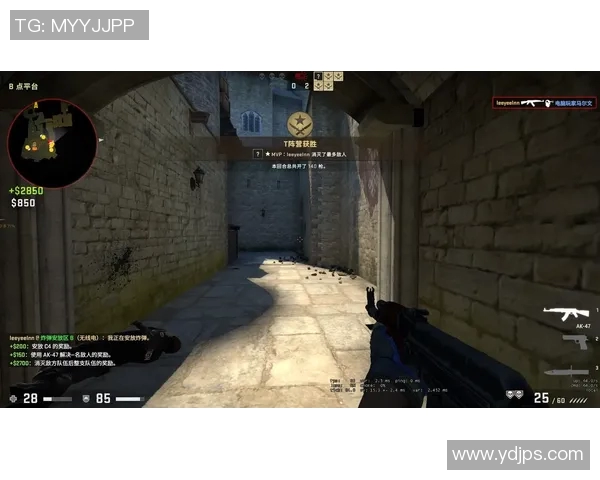 探索赵芳的CSGO人生与电竞梦想的深度对话之旅实时新闻